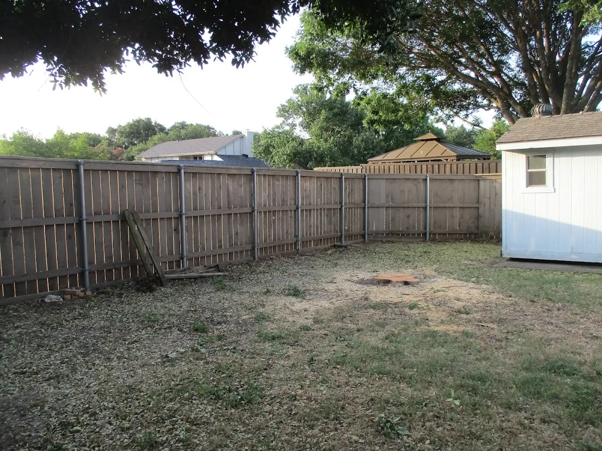 Cleared yard after professional tree removal in Granville